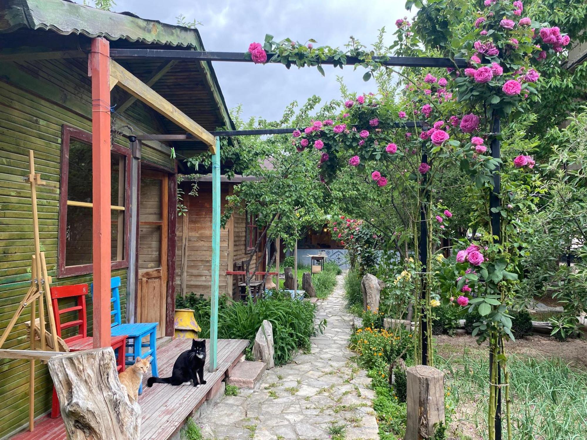 Philosophy Hotel Uchisar Exterior photo